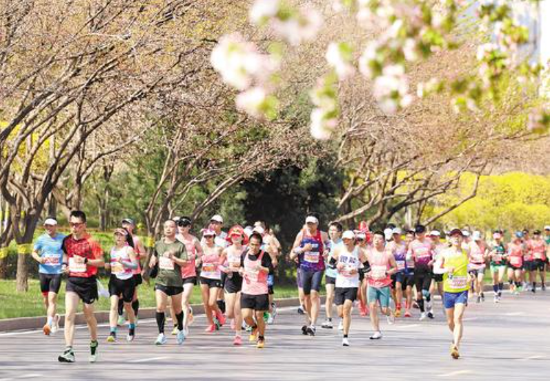 3月31日，2024石家庄马拉松赛参赛选手在比赛中。新华社发（梁子栋摄）